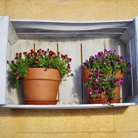 Degli Angeli 4* Λέτσε